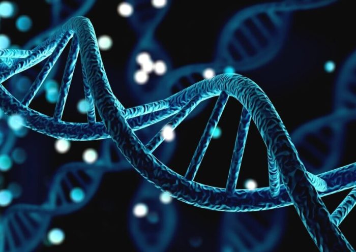 محققان: این دو ژن‌ باعث می‌شود بیماران سرطانی به شیمی درمانی پاسخ مثبت ندهند
