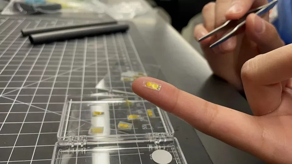 ساخت ایمپلنت بسیار کوچکی که می‌تواند سلامت عضو پیوندی را تحت نظر بگیرد